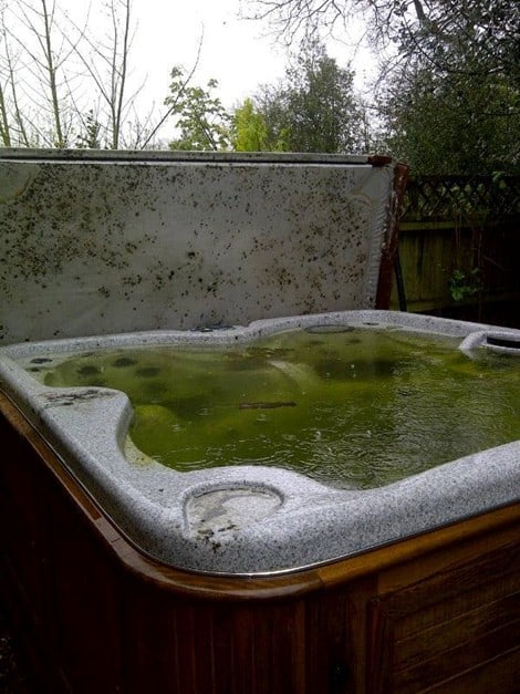 green hot tub water